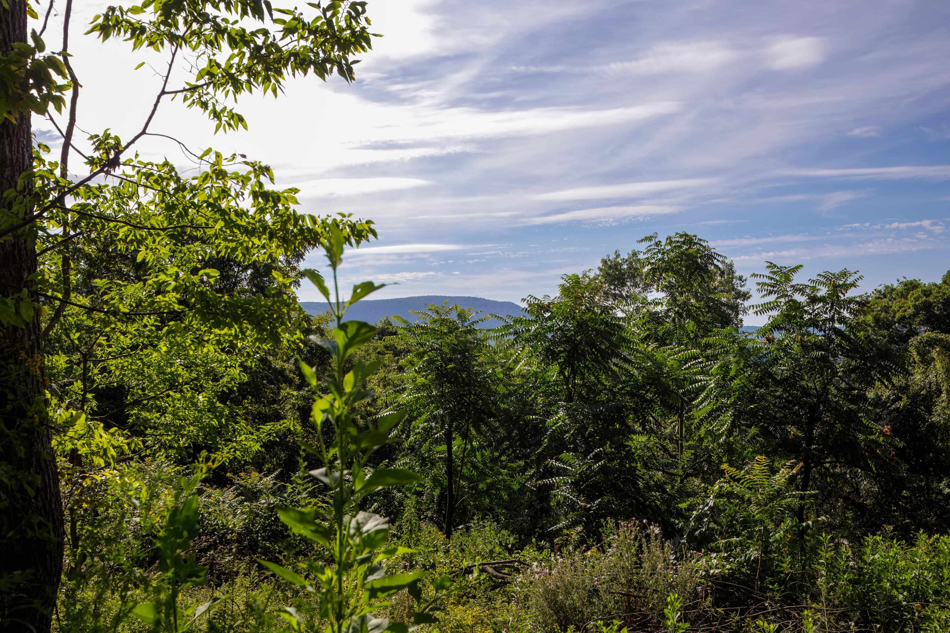 TBD LIME KILN DR, ROCKINGHAM, Virginia 22802, ,Land,TBD LIME KILN DR,656137 MLS # 656137