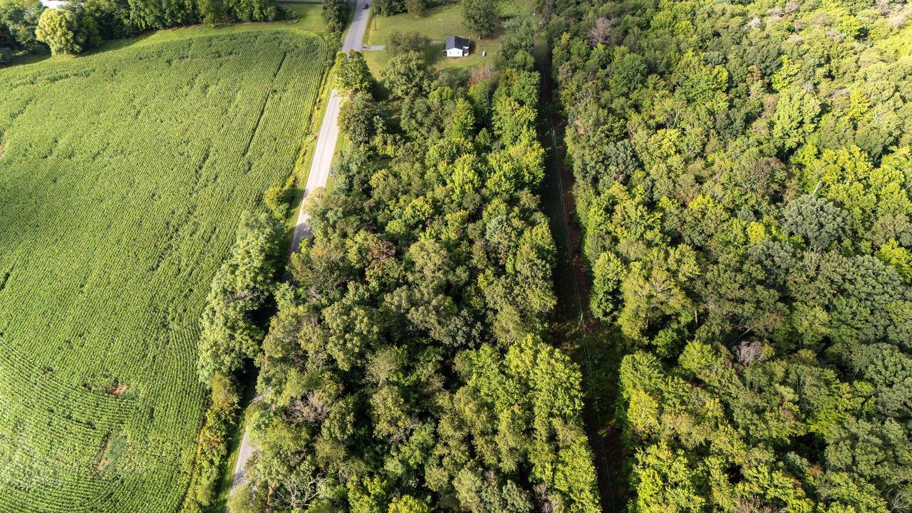 TBD-15 ACRES PEAKE MOUNTAIN RD, ROCKINGHAM, Virginia 22802, ,Land,TBD-15 ACRES PEAKE MOUNTAIN RD,656140 MLS # 656140