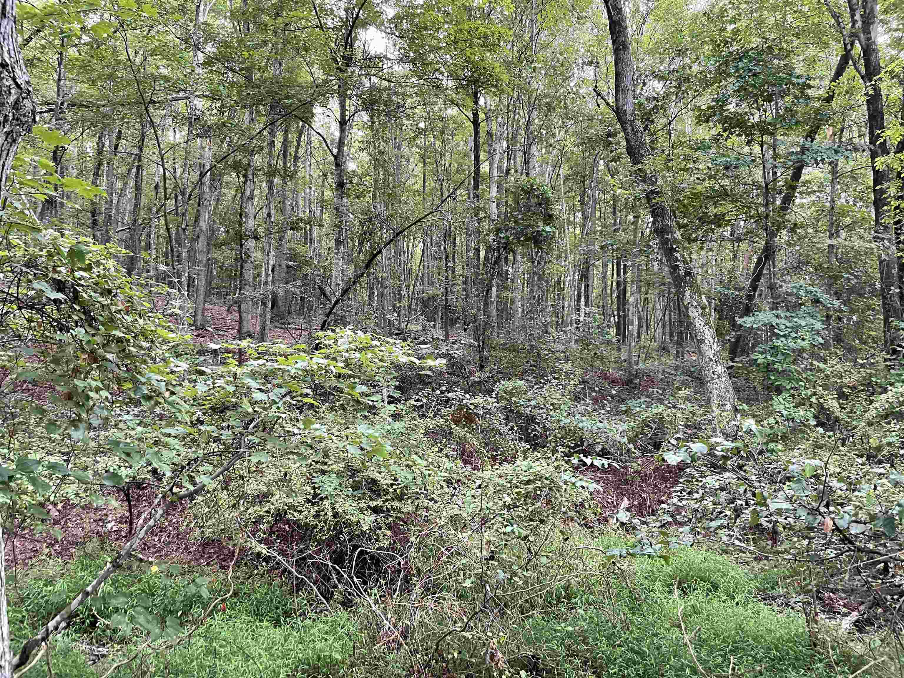 TBD-15 ACRES PEAKE MOUNTAIN RD, ROCKINGHAM, Virginia 22802, ,Land,TBD-15 ACRES PEAKE MOUNTAIN RD,656140 MLS # 656140