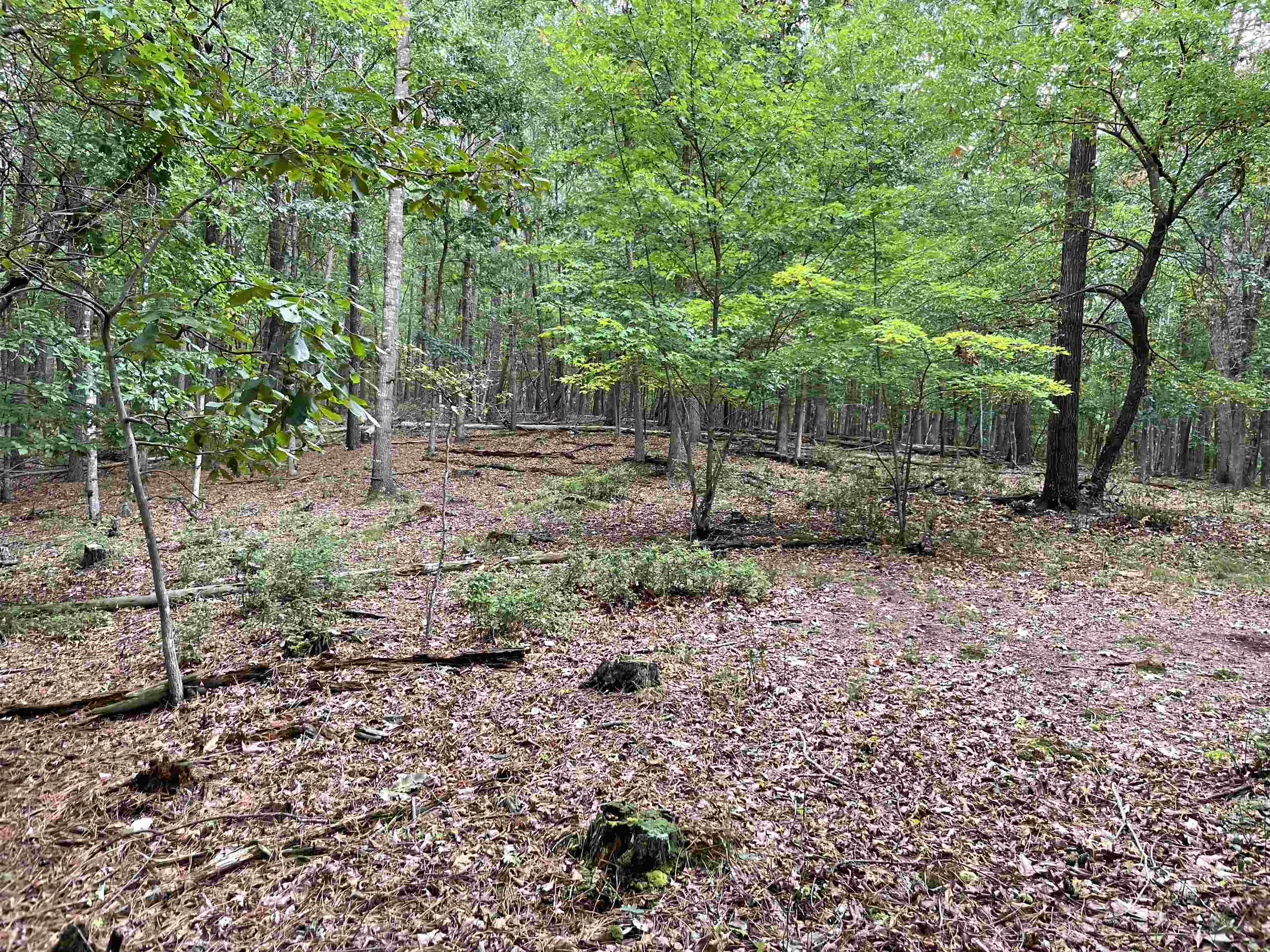 TBD-15 ACRES PEAKE MOUNTAIN RD, ROCKINGHAM, Virginia 22802, ,Land,TBD-15 ACRES PEAKE MOUNTAIN RD,656140 MLS # 656140