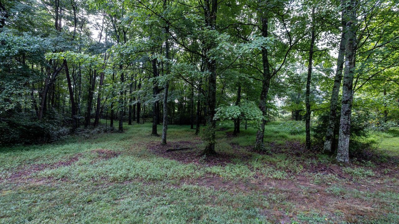 TBD-15 ACRES PEAKE MOUNTAIN RD, ROCKINGHAM, Virginia 22802, ,Land,TBD-15 ACRES PEAKE MOUNTAIN RD,656140 MLS # 656140