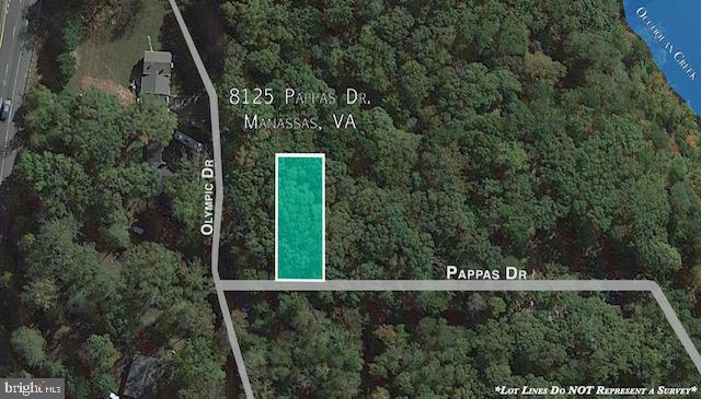 8125 PAPPAS DR, MANASSAS, Virginia 20112, ,Land,For sale,8125 PAPPAS DR,VAPW2078120 MLS # VAPW2078120