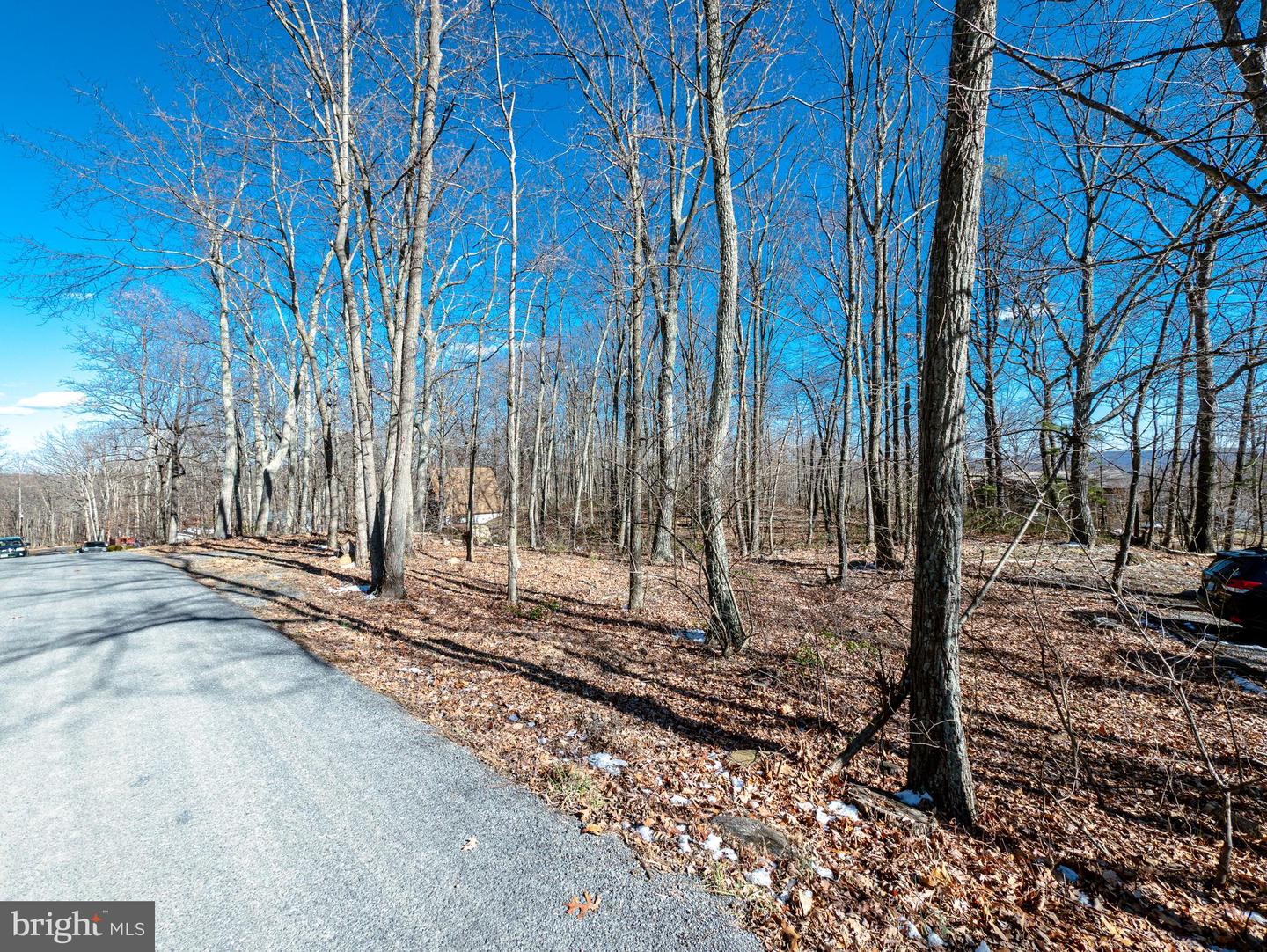 LOT 50 GILMORE TRL, WINCHESTER, Virginia 22602, ,Land,For sale,LOT 50 GILMORE TRL,VAFV2017068 MLS # VAFV2017068