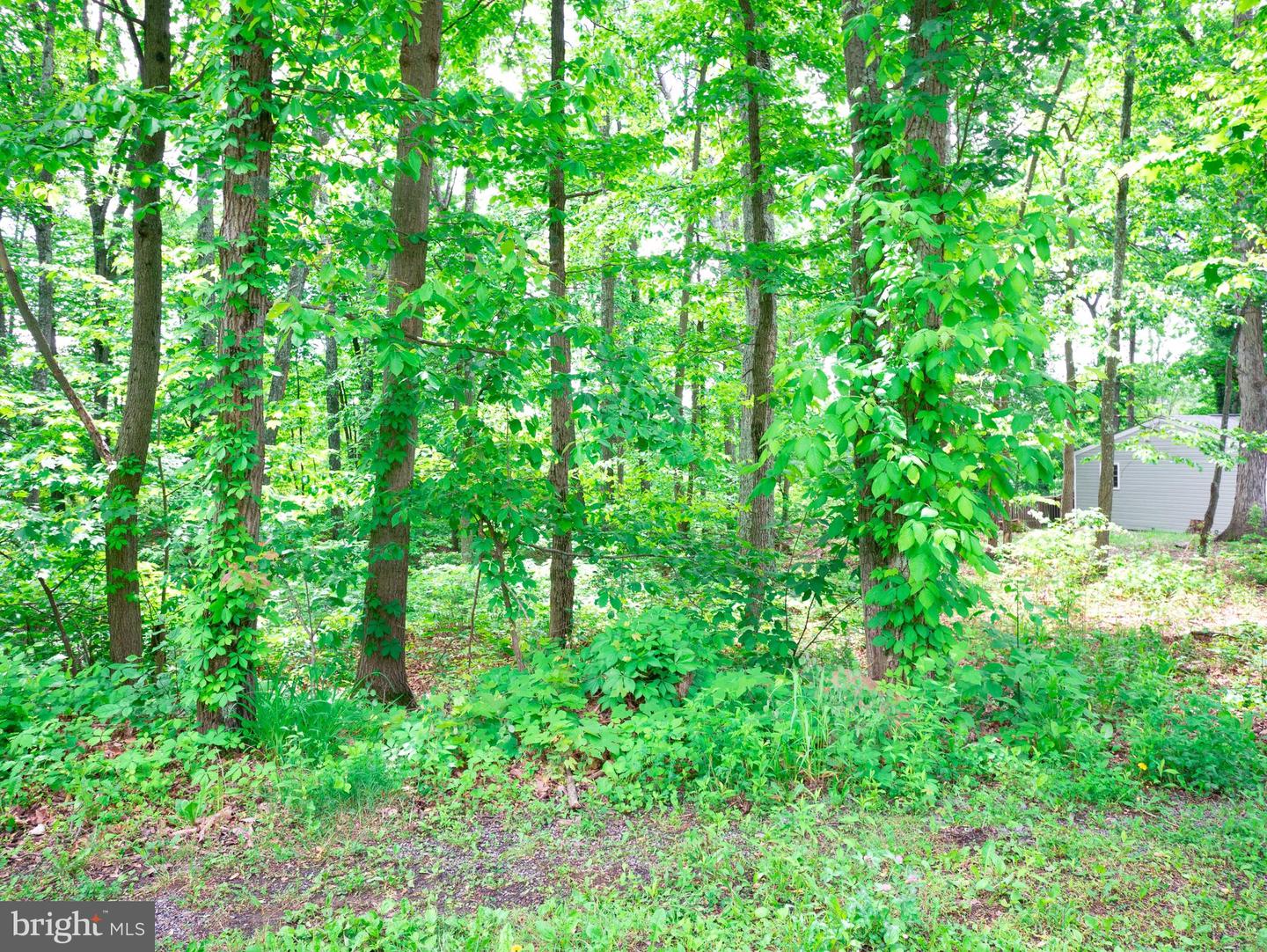 LOT 50 GILMORE TRL, WINCHESTER, Virginia 22602, ,Land,For sale,LOT 50 GILMORE TRL,VAFV2017068 MLS # VAFV2017068