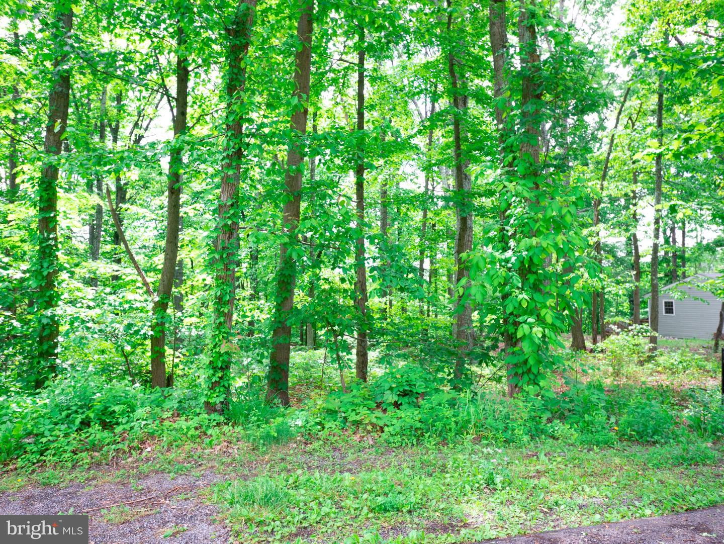 LOT 50 GILMORE TRL, WINCHESTER, Virginia 22602, ,Land,For sale,LOT 50 GILMORE TRL,VAFV2017068 MLS # VAFV2017068