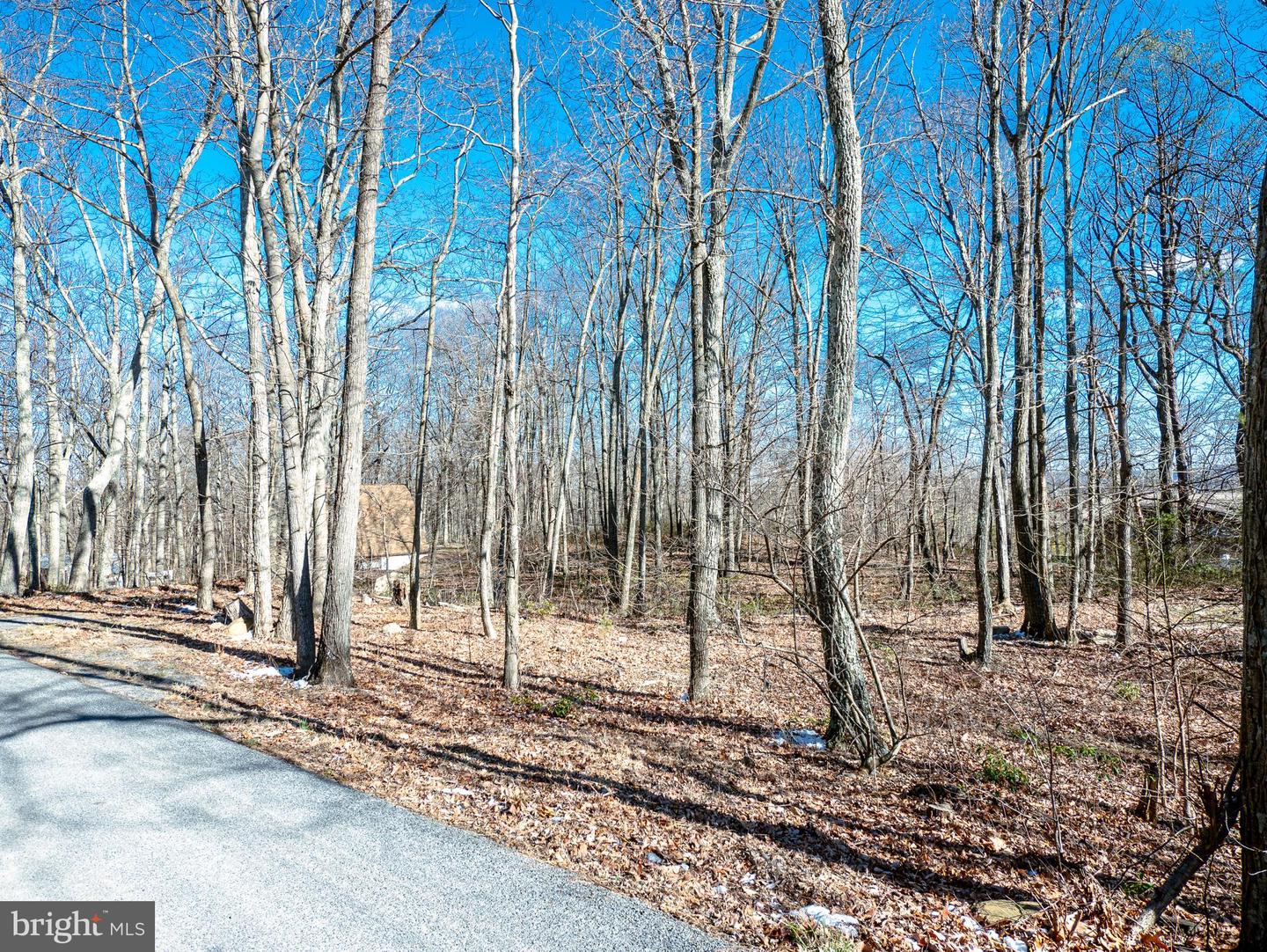 LOT 50 GILMORE TRL, WINCHESTER, Virginia 22602, ,Land,For sale,LOT 50 GILMORE TRL,VAFV2017068 MLS # VAFV2017068