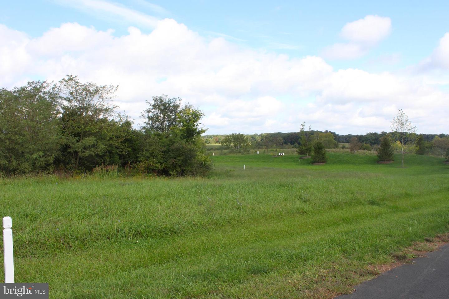 LOT 57 CREIGHTON FARMS DRIVE, LEESBURG, Virginia 20175, ,Land,For sale,LOT 57 CREIGHTON FARMS DRIVE,VALO2078548 MLS # VALO2078548