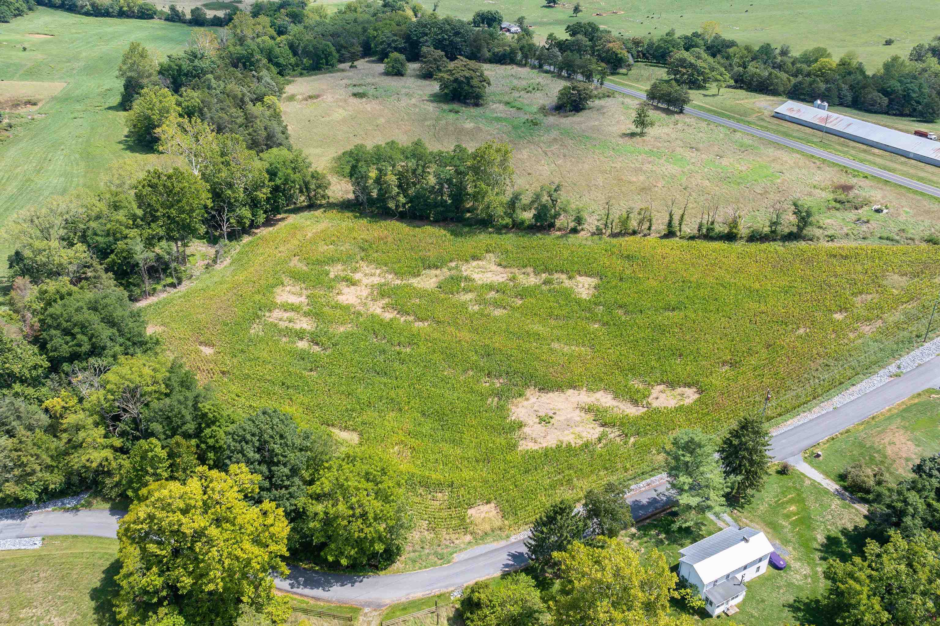 TBD MICHAEL LN, ELKTON, Virginia 22827, ,Land,TBD MICHAEL LN,656234 MLS # 656234