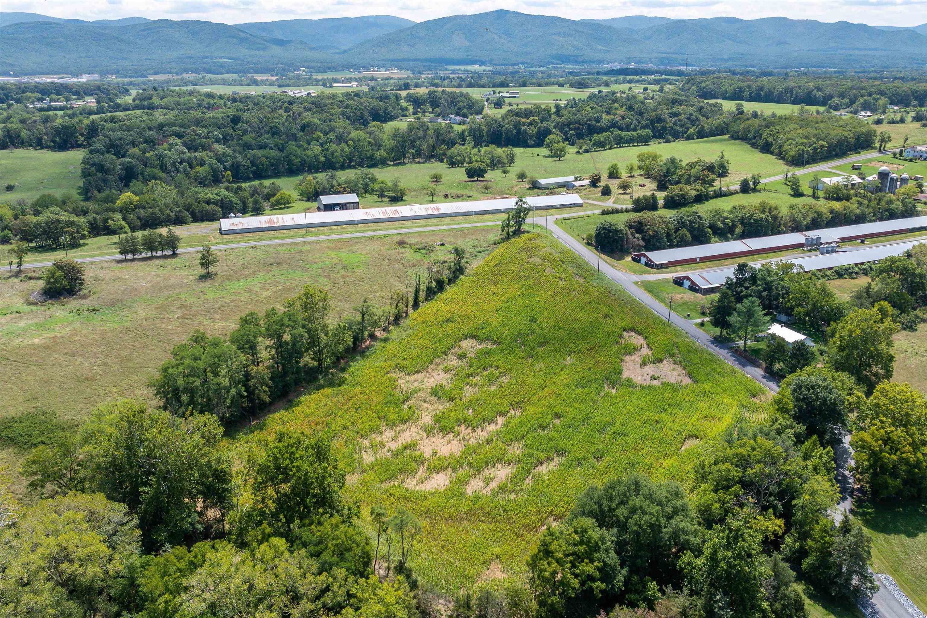 TBD MICHAEL LN, ELKTON, Virginia 22827, ,Land,TBD MICHAEL LN,656234 MLS # 656234