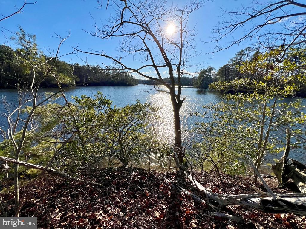 LOT 6 LIGHTHOUSE LN, HEATHSVILLE, Virginia 22473, ,Land,For sale,LOT 6 LIGHTHOUSE LN,VANV2001010 MLS # VANV2001010