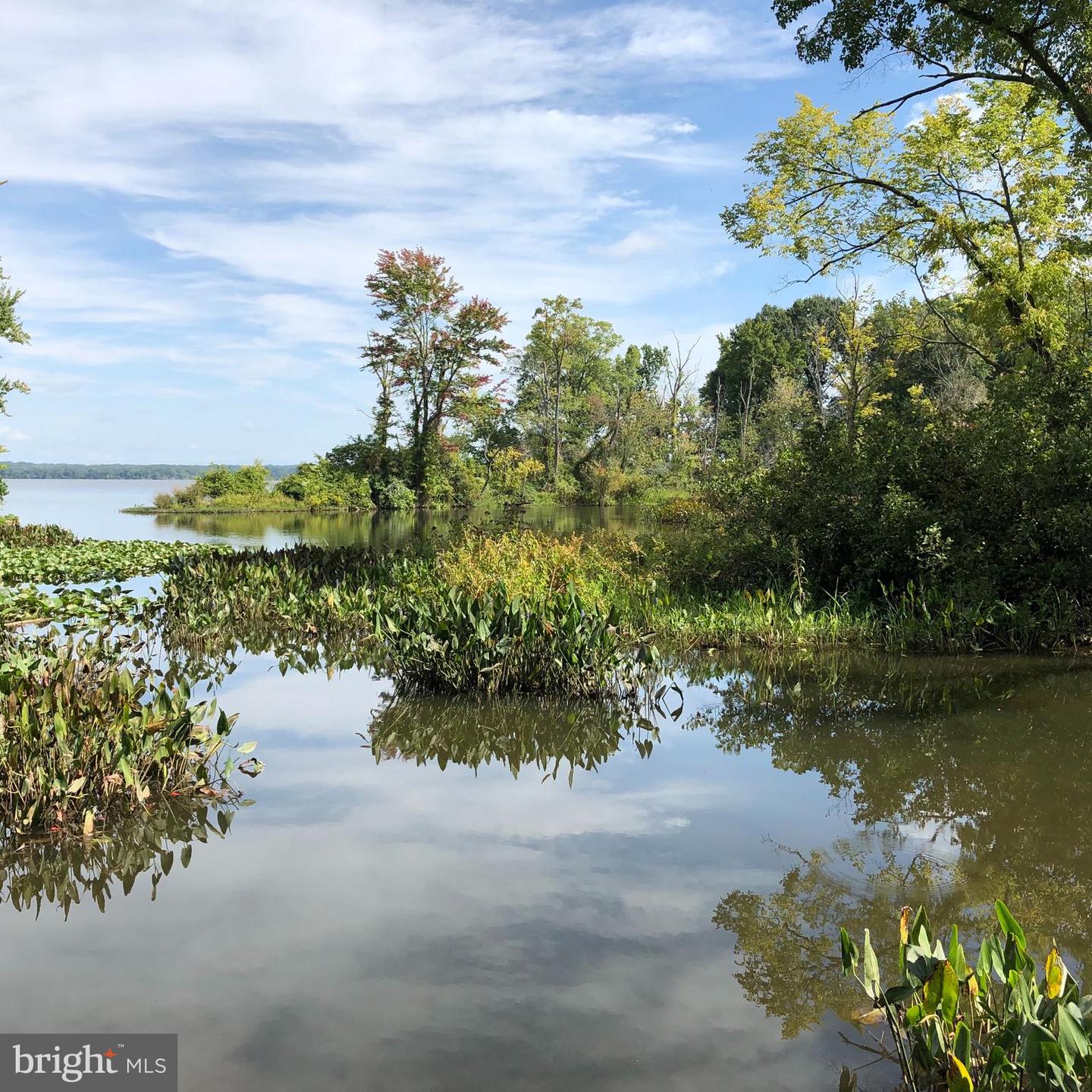 91 PORTABAGO TRL, PORT ROYAL, Virginia 22535, ,Land,For sale,91 PORTABAGO TRL,VACV2006578 MLS # VACV2006578