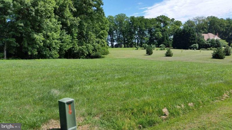 91 PORTABAGO TRL, PORT ROYAL, Virginia 22535, ,Land,For sale,91 PORTABAGO TRL,VACV2006578 MLS # VACV2006578