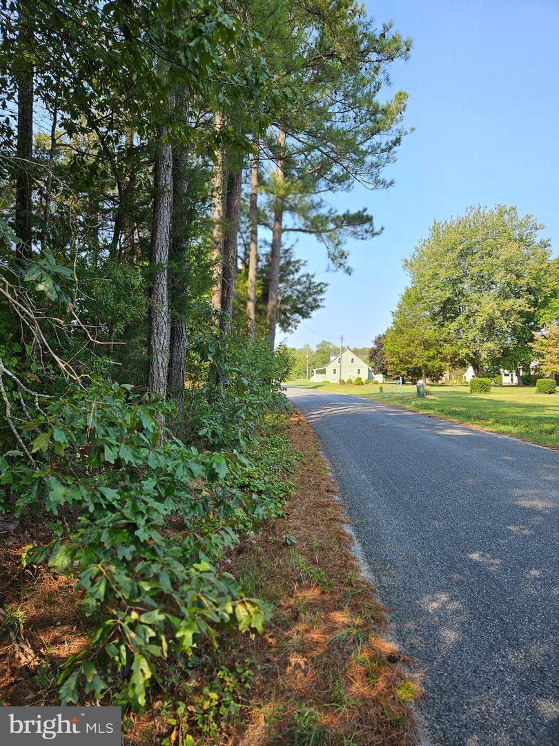 18070 WRIGHTSVILLE RD, BOWLING GREEN, Virginia 22427, ,Land,For sale,18070 WRIGHTSVILLE RD,VACV2006582 MLS # VACV2006582