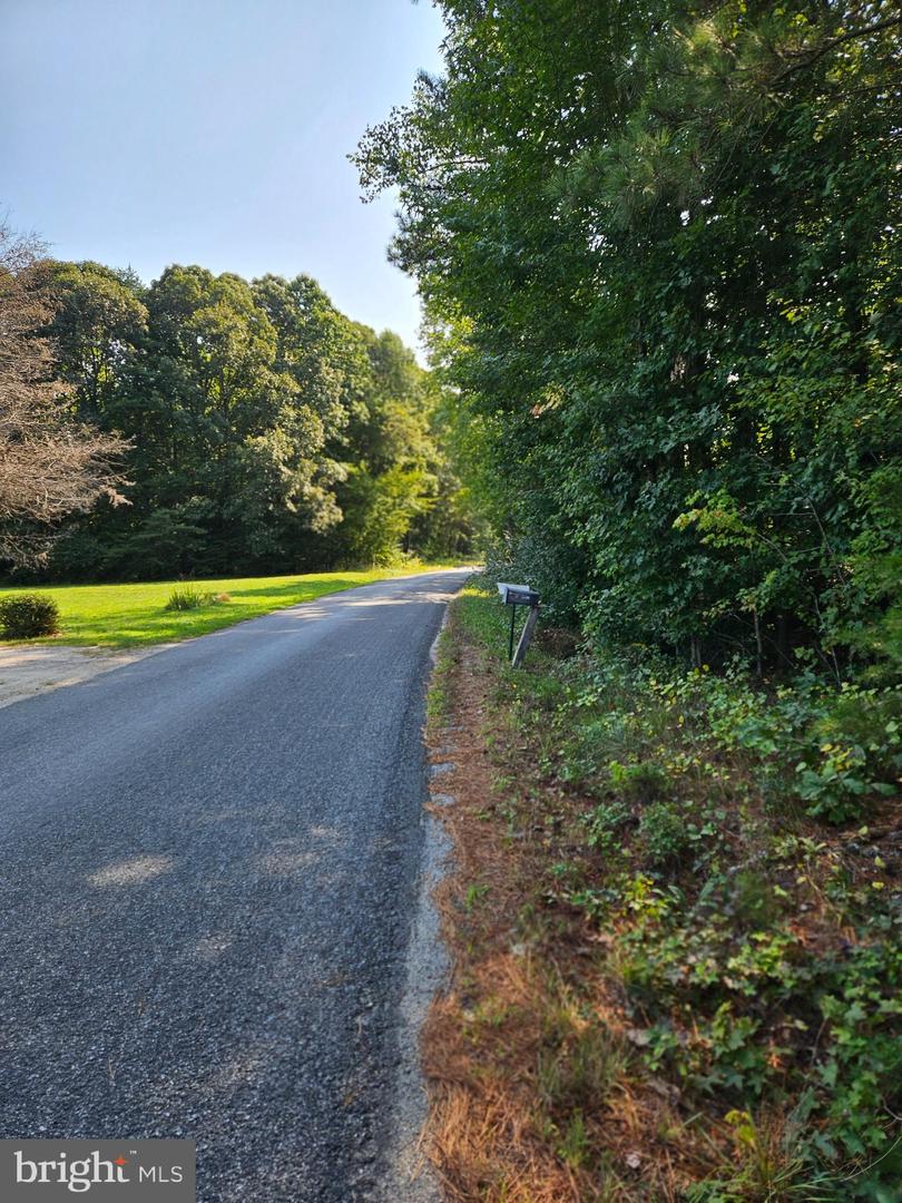 18070 WRIGHTSVILLE RD, BOWLING GREEN, Virginia 22427, ,Land,For sale,18070 WRIGHTSVILLE RD,VACV2006582 MLS # VACV2006582