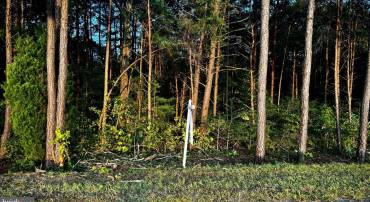 LEEDSTOWN ROAD, OAK GROVE, Virginia 22443, ,Land,For sale,LEEDSTOWN ROAD,VAWE2007332 MLS # VAWE2007332