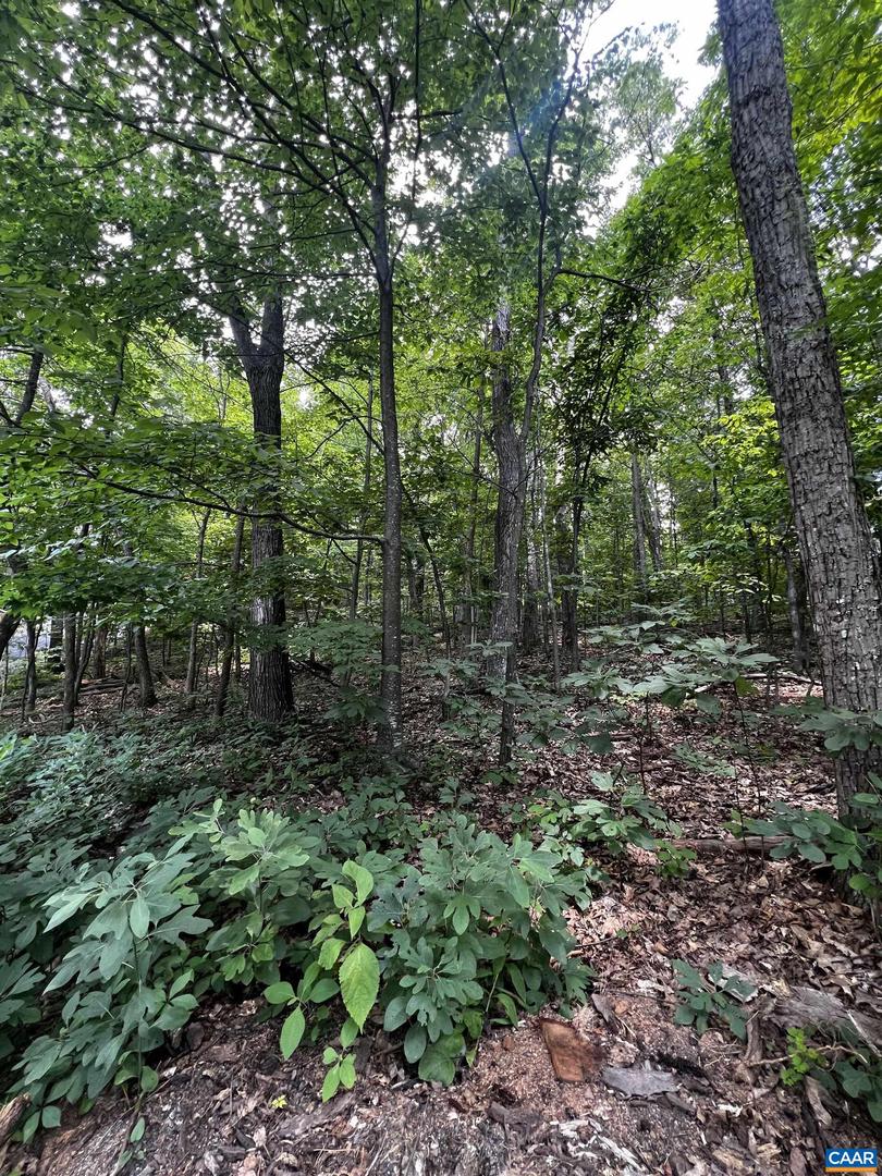 TBD WEEPING ROCK LN #35 LAUREL SPRINGS, WINTERGREEN RESORT, Virginia 22967, ,Land,For sale,TBD WEEPING ROCK LN #35 LAUREL SPRINGS,656247 MLS # 656247