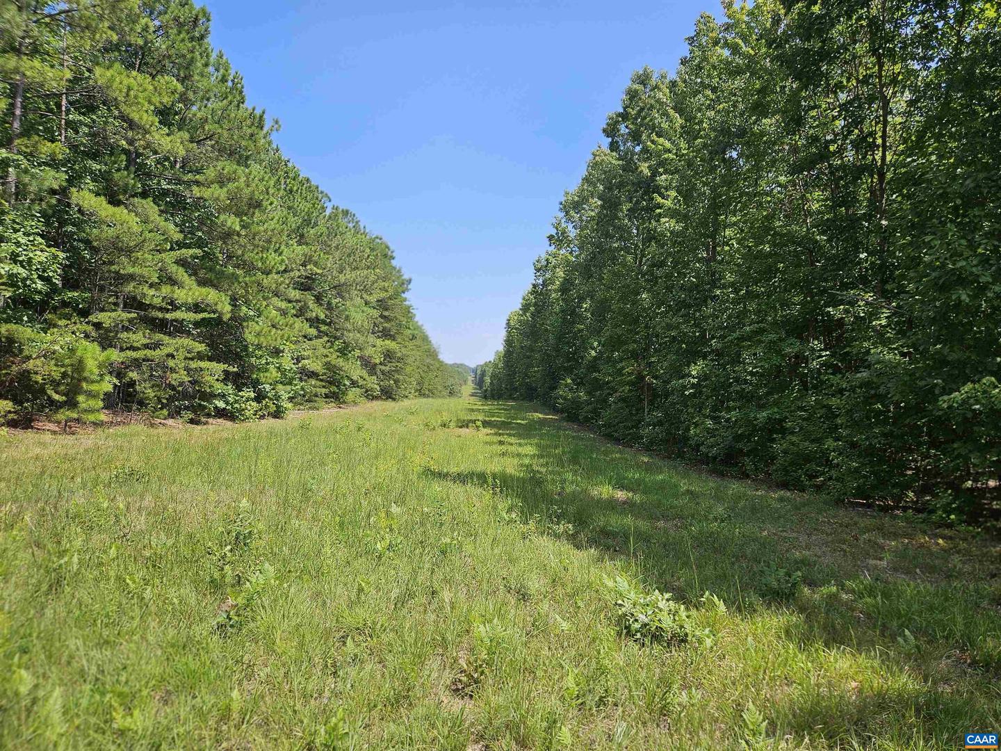 TBD W JAMES ANDERSON HWY, GLADSTONE, Virginia 24553, ,Farm,For sale,TBD W JAMES ANDERSON HWY,656262 MLS # 656262