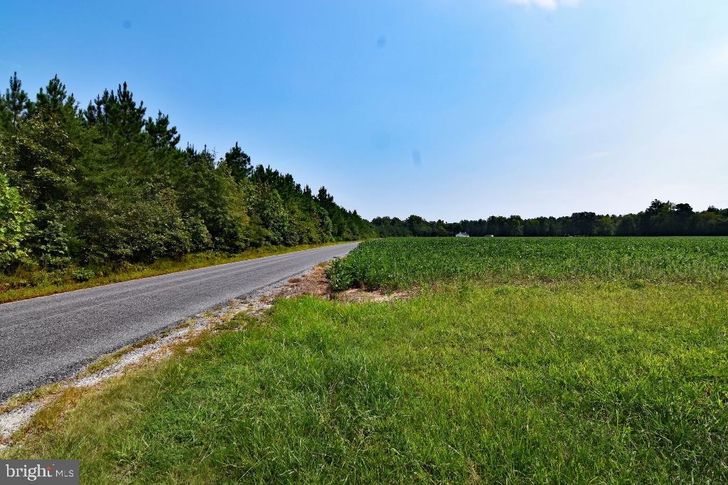 0 LEWIS MOORE RD, RUTHER GLEN, Virginia 22546, ,Land,For sale,0 LEWIS MOORE RD,VACV2006594 MLS # VACV2006594