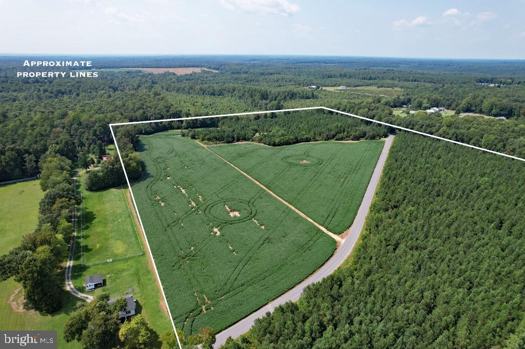 0 LEWIS MOORE RD, RUTHER GLEN, Virginia 22546, ,Land,For sale,0 LEWIS MOORE RD,VACV2006594 MLS # VACV2006594