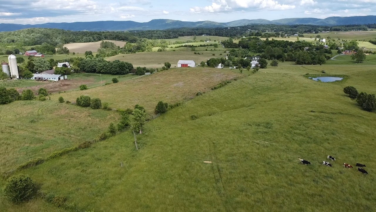 4 ACRES MILLER RD, WAYNESBORO, Virginia 22980, ,Land,4 ACRES MILLER RD,656280 MLS # 656280