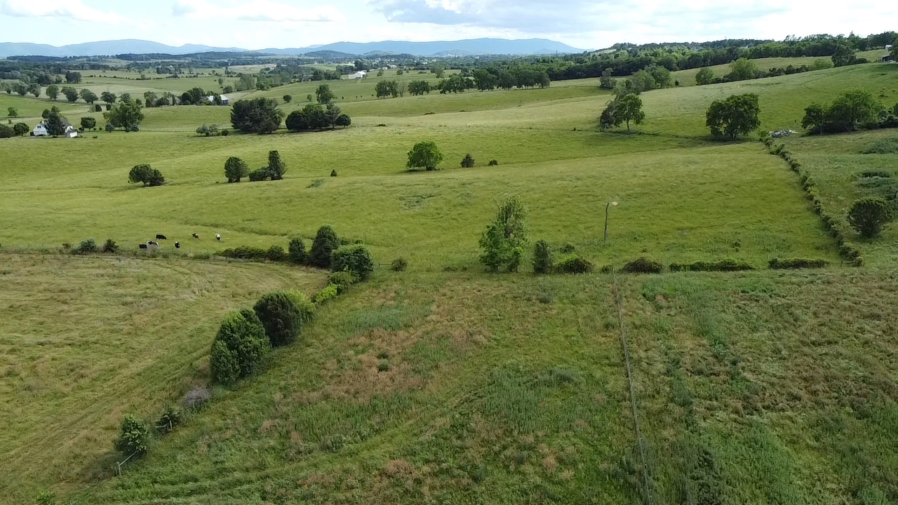 4 ACRES MILLER RD, WAYNESBORO, Virginia 22980, ,Land,4 ACRES MILLER RD,656280 MLS # 656280