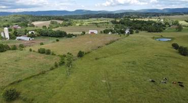 4 ACRES MILLER RD, WAYNESBORO, Virginia 22980, ,Land,4 ACRES MILLER RD,656280 MLS # 656280