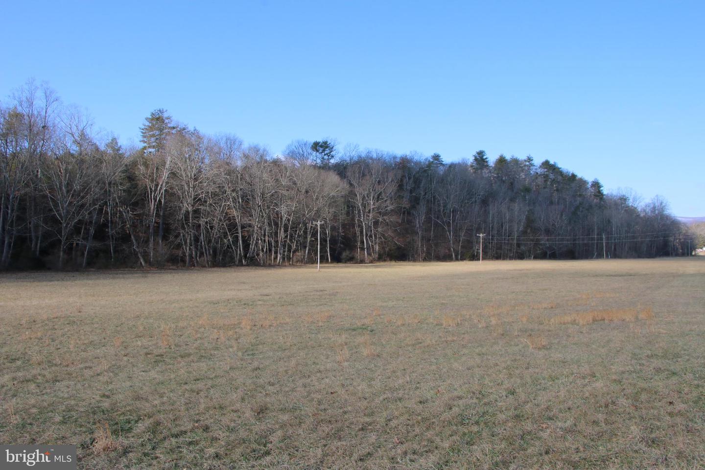 ORKNEY GRADE, MOUNT JACKSON, Virginia 22842, ,Land,For sale,ORKNEY GRADE,VASH2007930 MLS # VASH2007930