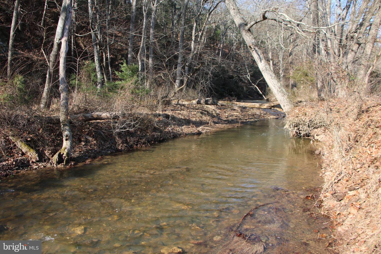 ORKNEY GRADE, MOUNT JACKSON, Virginia 22842, ,Land,For sale,ORKNEY GRADE,VASH2007930 MLS # VASH2007930