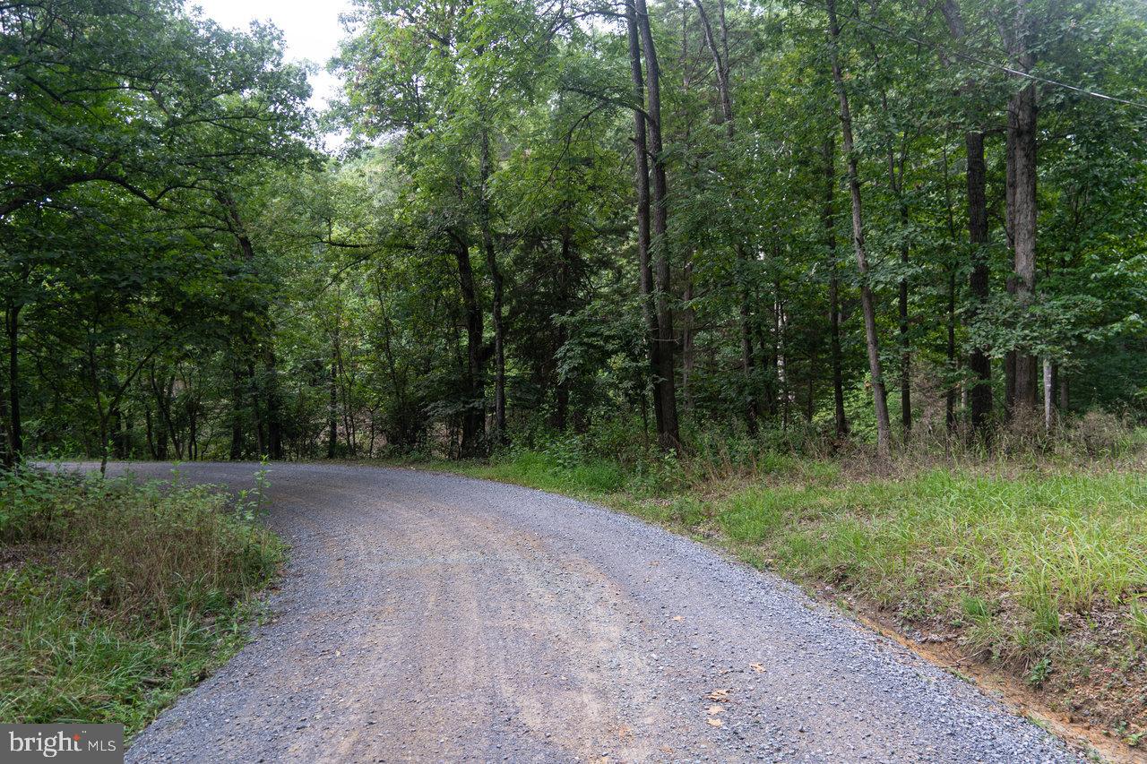 LOT 4A CATHY'S MOUNTAIN DR, LURAY, Virginia 22835, ,Land,For sale,LOT 4A CATHY'S MOUNTAIN DR,VAPA2003940 MLS # VAPA2003940