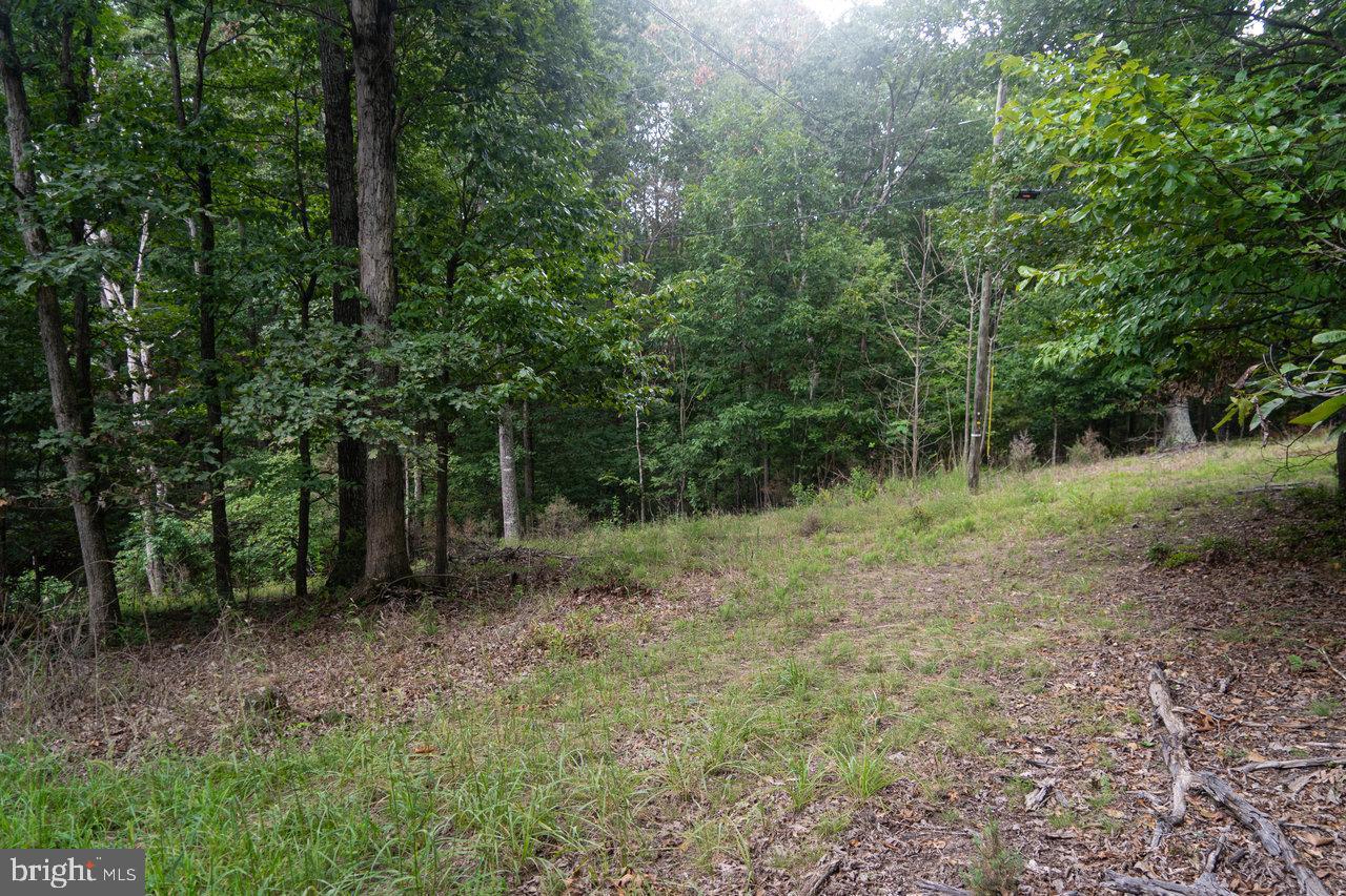 LOT 4A CATHY'S MOUNTAIN DR, LURAY, Virginia 22835, ,Land,For sale,LOT 4A CATHY'S MOUNTAIN DR,VAPA2003940 MLS # VAPA2003940