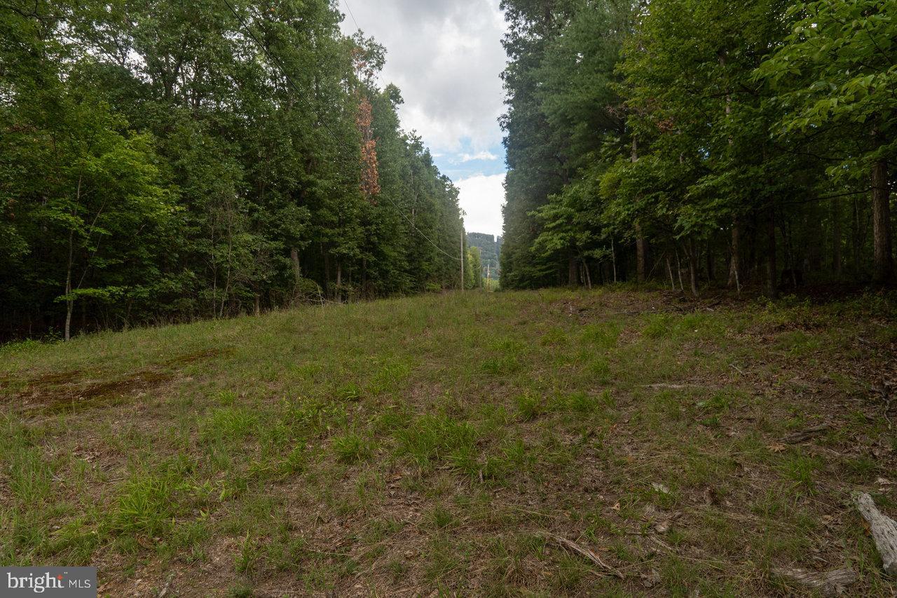 LOT 4A CATHY'S MOUNTAIN DR, LURAY, Virginia 22835, ,Land,For sale,LOT 4A CATHY'S MOUNTAIN DR,VAPA2003940 MLS # VAPA2003940