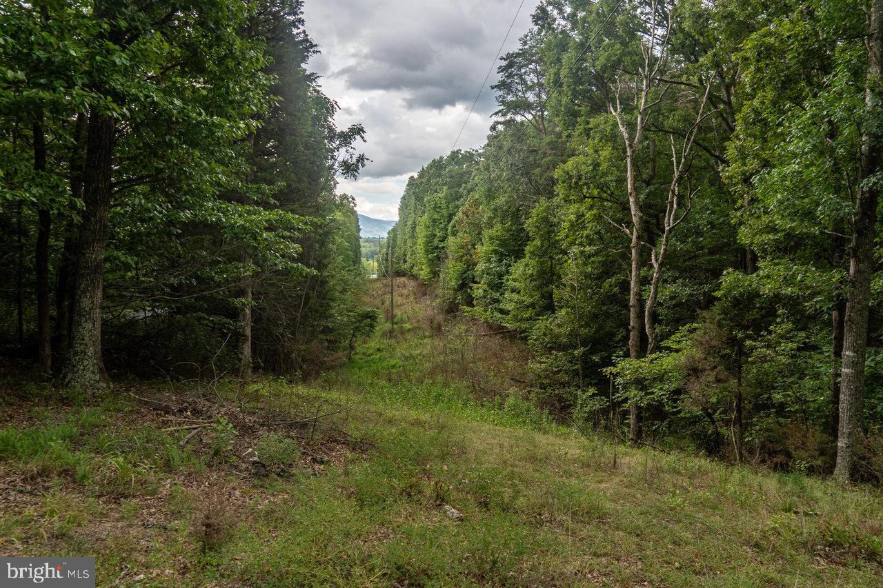 LOT 4A CATHY'S MOUNTAIN DR, LURAY, Virginia 22835, ,Land,For sale,LOT 4A CATHY'S MOUNTAIN DR,VAPA2003940 MLS # VAPA2003940