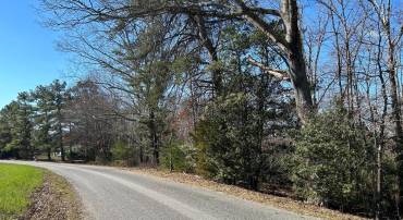 FORTUNE DRIVE, MILFORD, Virginia 22514, ,Land,For sale,FORTUNE DRIVE,VACV2003768 MLS # VACV2003768