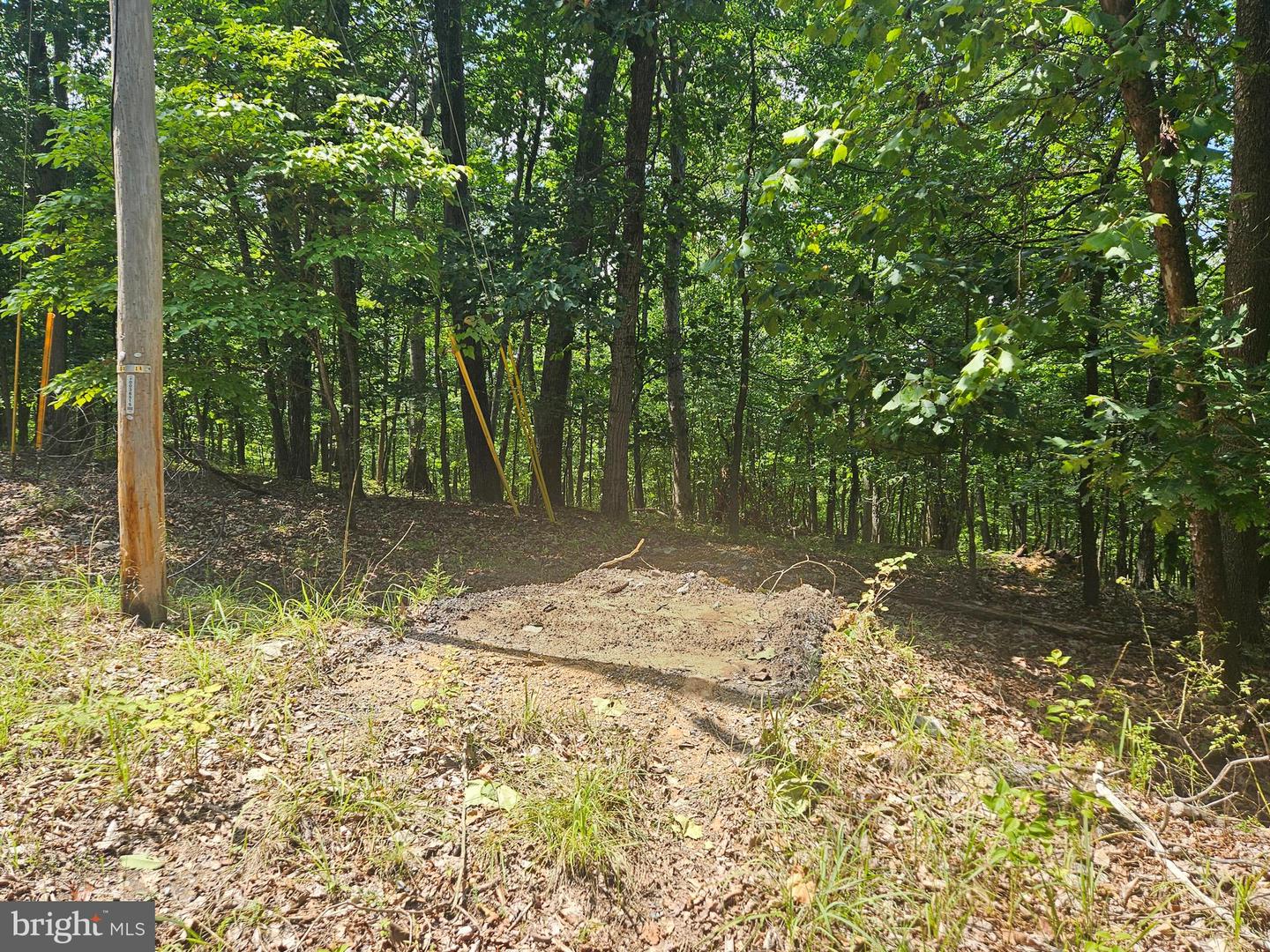 BRANDY RD, FRONT ROYAL, Virginia 22630, ,Land,For sale,BRANDY RD,VAWR2008944 MLS # VAWR2008944