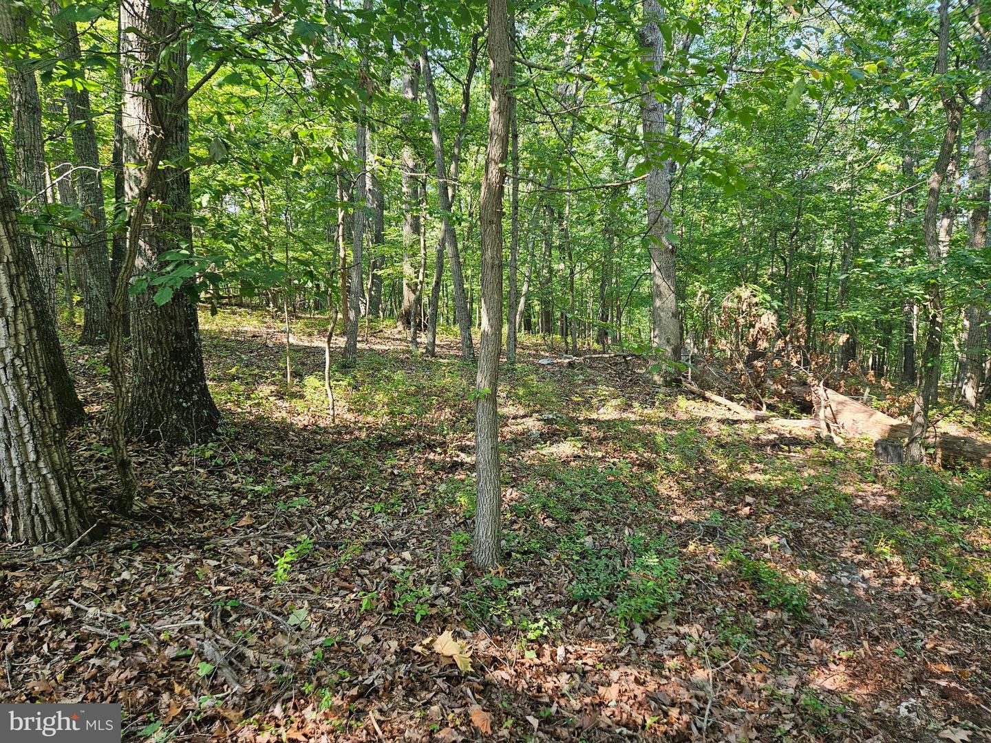 BRANDY RD, FRONT ROYAL, Virginia 22630, ,Land,For sale,BRANDY RD,VAWR2008944 MLS # VAWR2008944