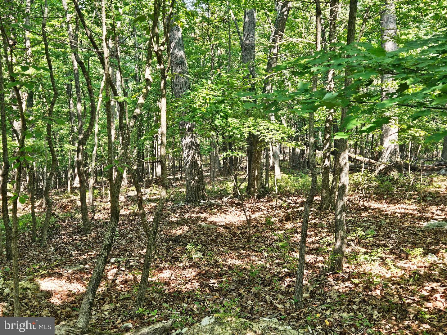 BRANDY RD, FRONT ROYAL, Virginia 22630, ,Land,For sale,BRANDY RD,VAWR2008944 MLS # VAWR2008944