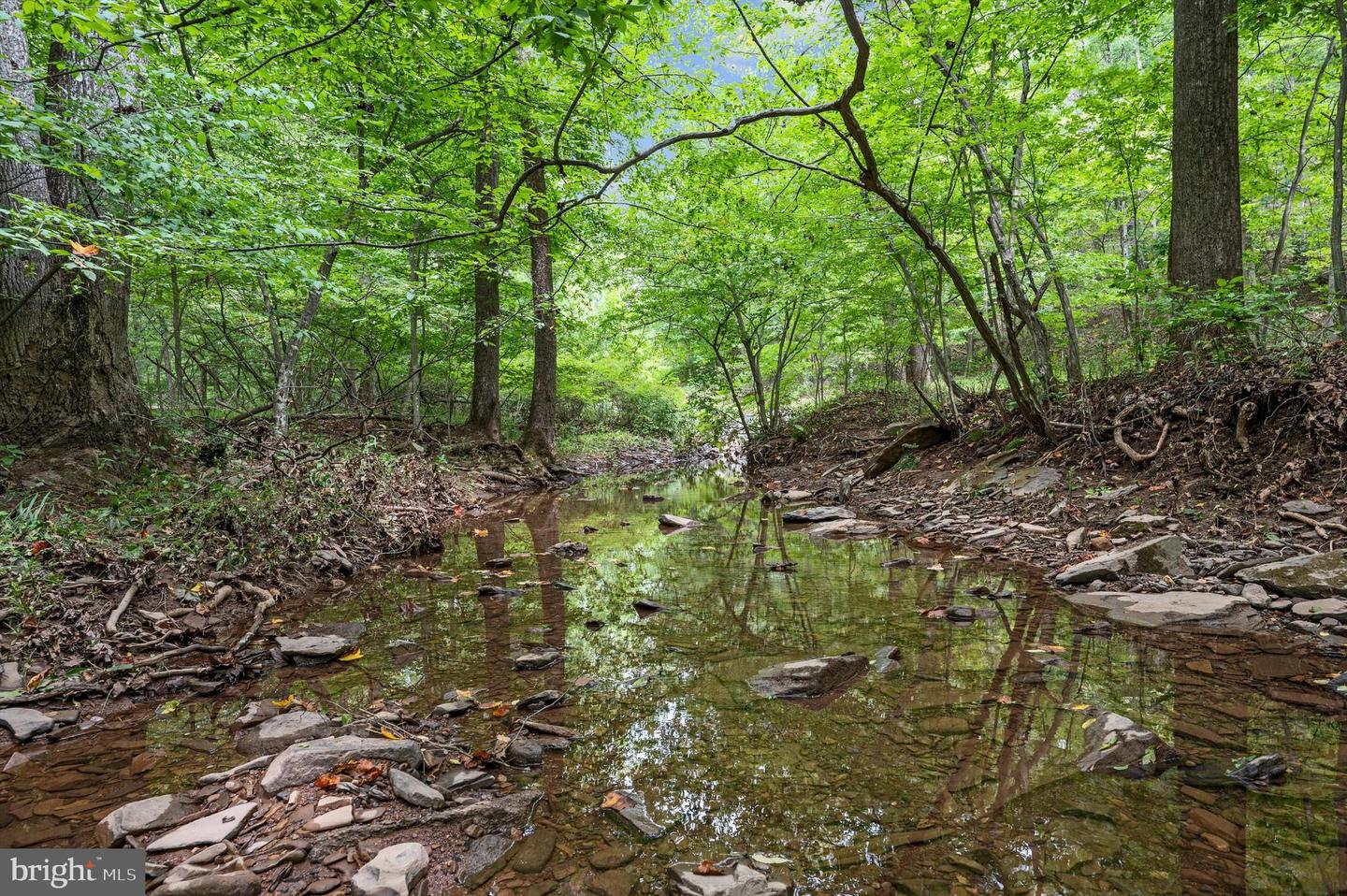 1275 PACK HORSE RD, WINCHESTER, Virginia 22603, ,Land,For sale,1275 PACK HORSE RD,VAFV2021260 MLS # VAFV2021260