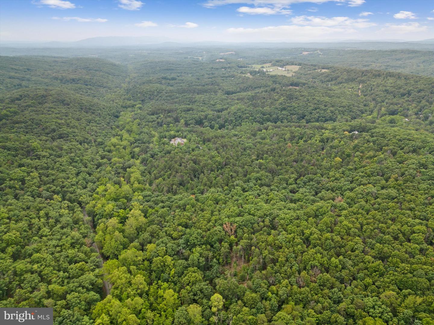 1275 PACK HORSE RD, WINCHESTER, Virginia 22603, ,Land,For sale,1275 PACK HORSE RD,VAFV2021260 MLS # VAFV2021260