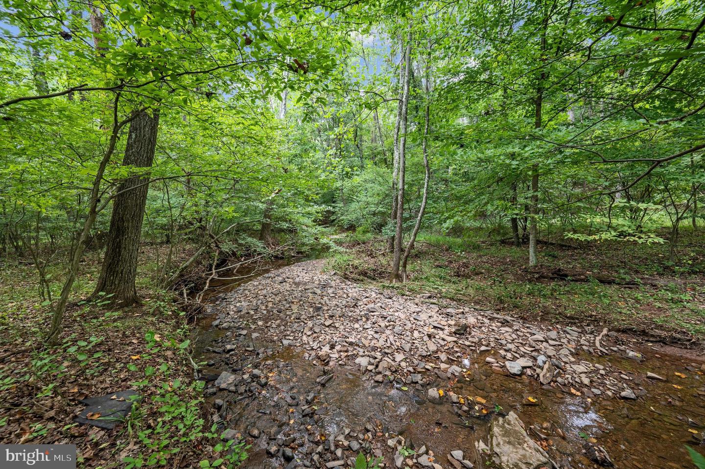 1275 PACK HORSE RD, WINCHESTER, Virginia 22603, ,Land,For sale,1275 PACK HORSE RD,VAFV2021260 MLS # VAFV2021260