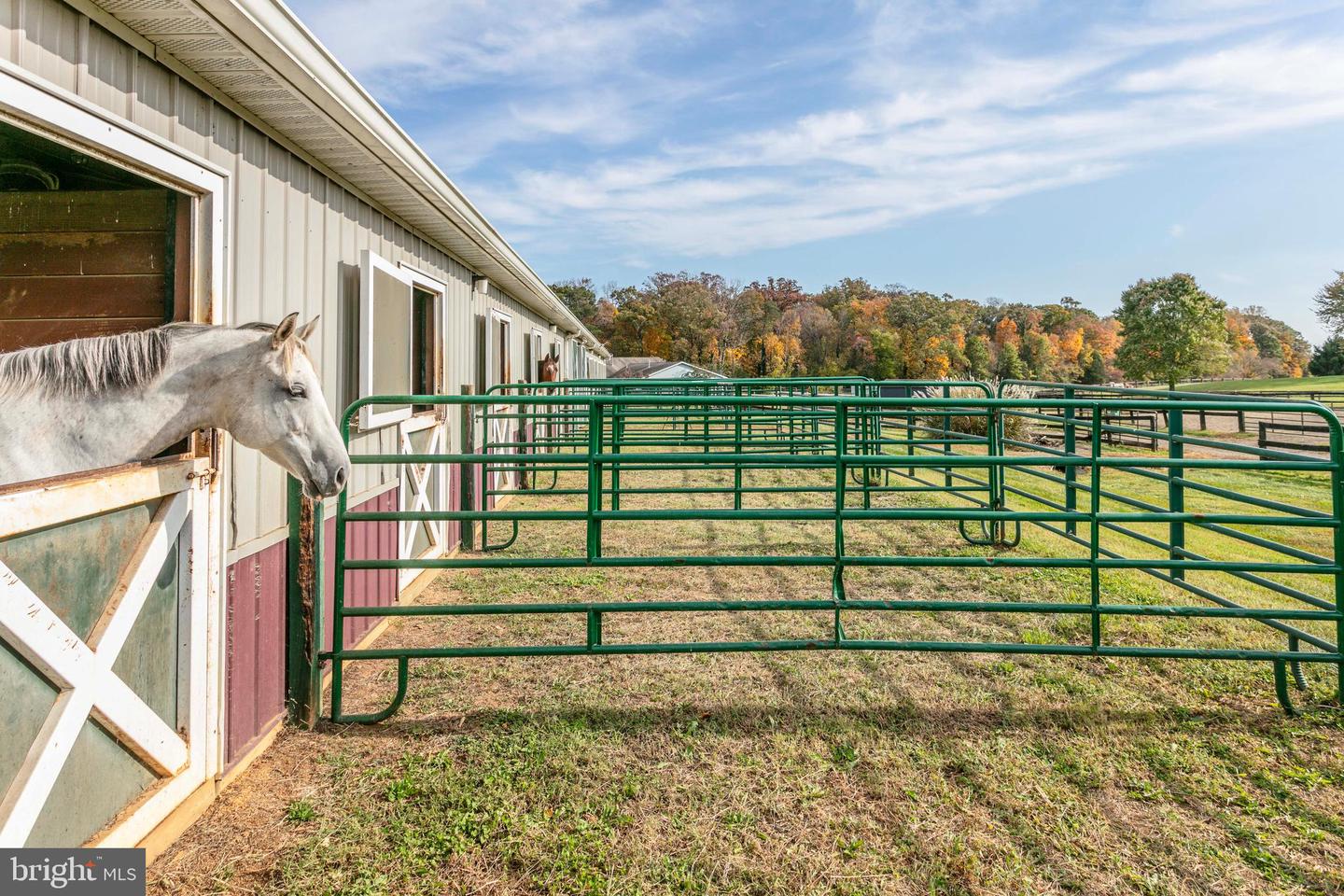 7453 OPAL RD, WARRENTON, Virginia 20186, 4 Bedrooms Bedrooms, ,3 BathroomsBathrooms,Farm,For sale,7453 OPAL RD,VAFQ2013468 MLS # VAFQ2013468