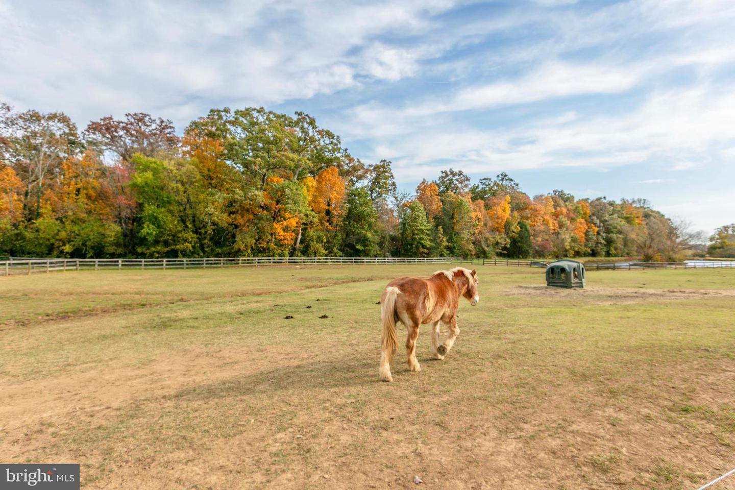 7453 OPAL RD, WARRENTON, Virginia 20186, 4 Bedrooms Bedrooms, ,3 BathroomsBathrooms,Farm,For sale,7453 OPAL RD,VAFQ2013468 MLS # VAFQ2013468