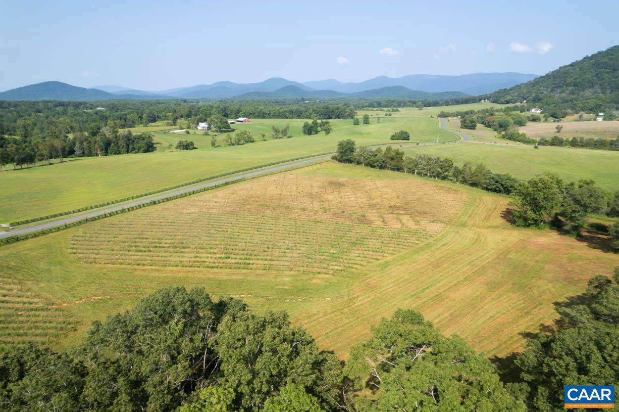 56 A 9B & 9C SYLVIA RIDGE RD #GREENE COUNTY TA, DYKE, Virginia 22935, ,Land,For sale,56 A 9B & 9C SYLVIA RIDGE RD #GREENE COUNTY TA,656303 MLS # 656303