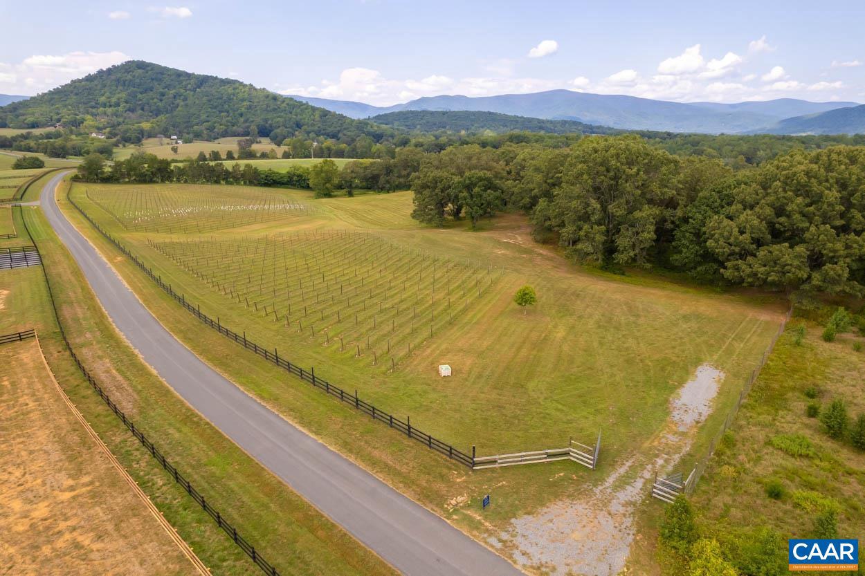 56 A 9B & 9C SYLVIA RIDGE RD #GREENE COUNTY TA, DYKE, Virginia 22935, ,Land,For sale,56 A 9B & 9C SYLVIA RIDGE RD #GREENE COUNTY TA,656303 MLS # 656303