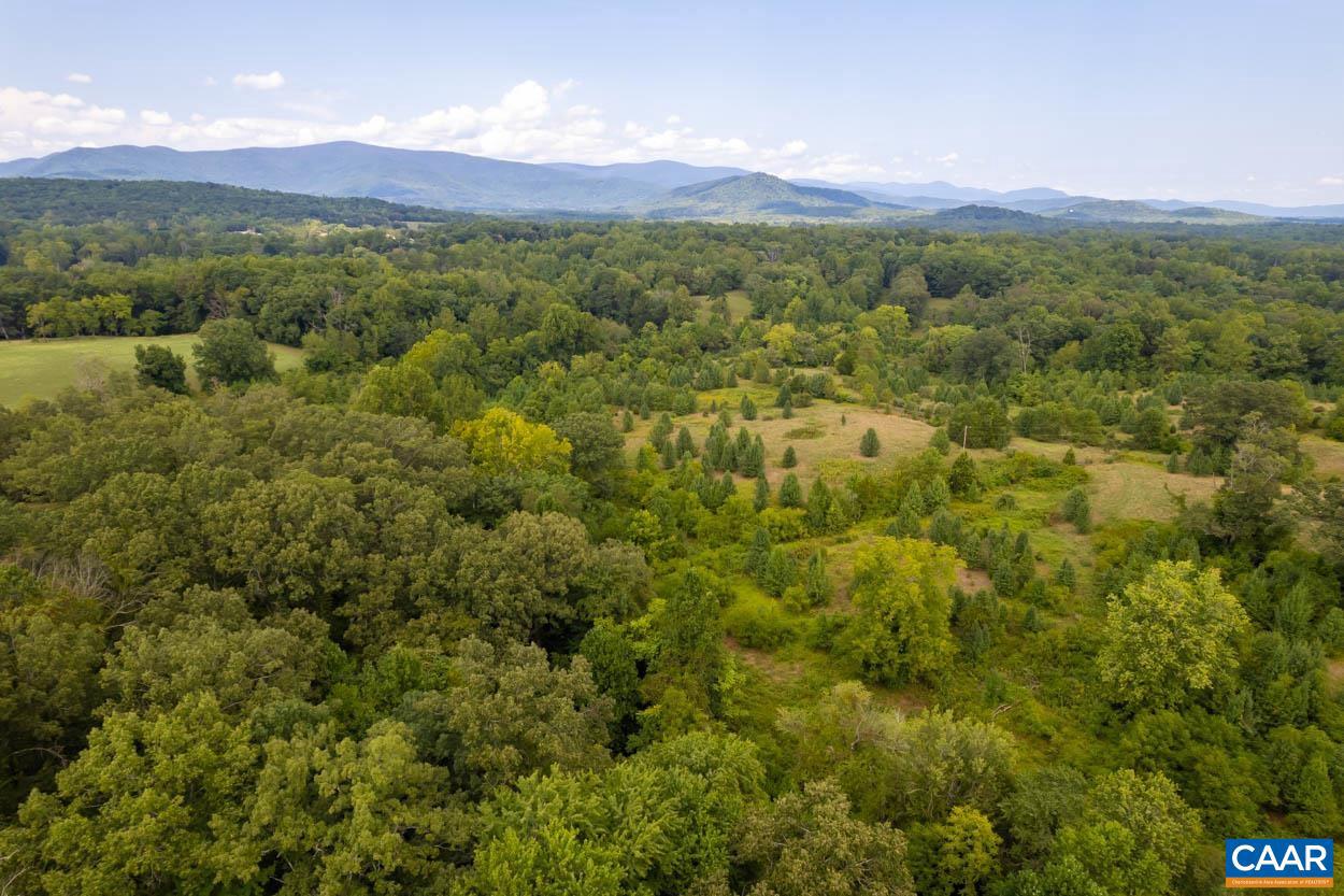 56 A 9B & 9C SYLVIA RIDGE RD #GREENE COUNTY TA, DYKE, Virginia 22935, ,Land,For sale,56 A 9B & 9C SYLVIA RIDGE RD #GREENE COUNTY TA,656303 MLS # 656303