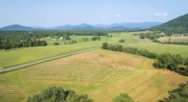 56 A 9B & 9C SYLVIA RIDGE RD #GREENE COUNTY TA, DYKE, Virginia 22935, ,Land,For sale,56 A 9B & 9C SYLVIA RIDGE RD #GREENE COUNTY TA,656303 MLS # 656303