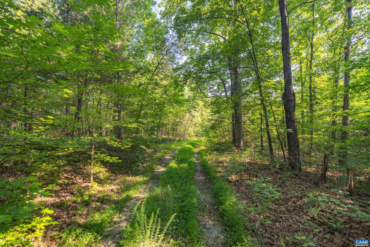 LOT 2 STAG RD, BREMO BLUFF, Virginia 23022, ,Land,For sale,LOT 2 STAG RD,656310 MLS # 656310