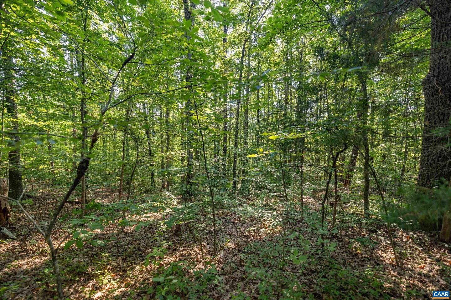 LOT 2 STAG RD, BREMO BLUFF, Virginia 23022, ,Land,For sale,LOT 2 STAG RD,656310 MLS # 656310