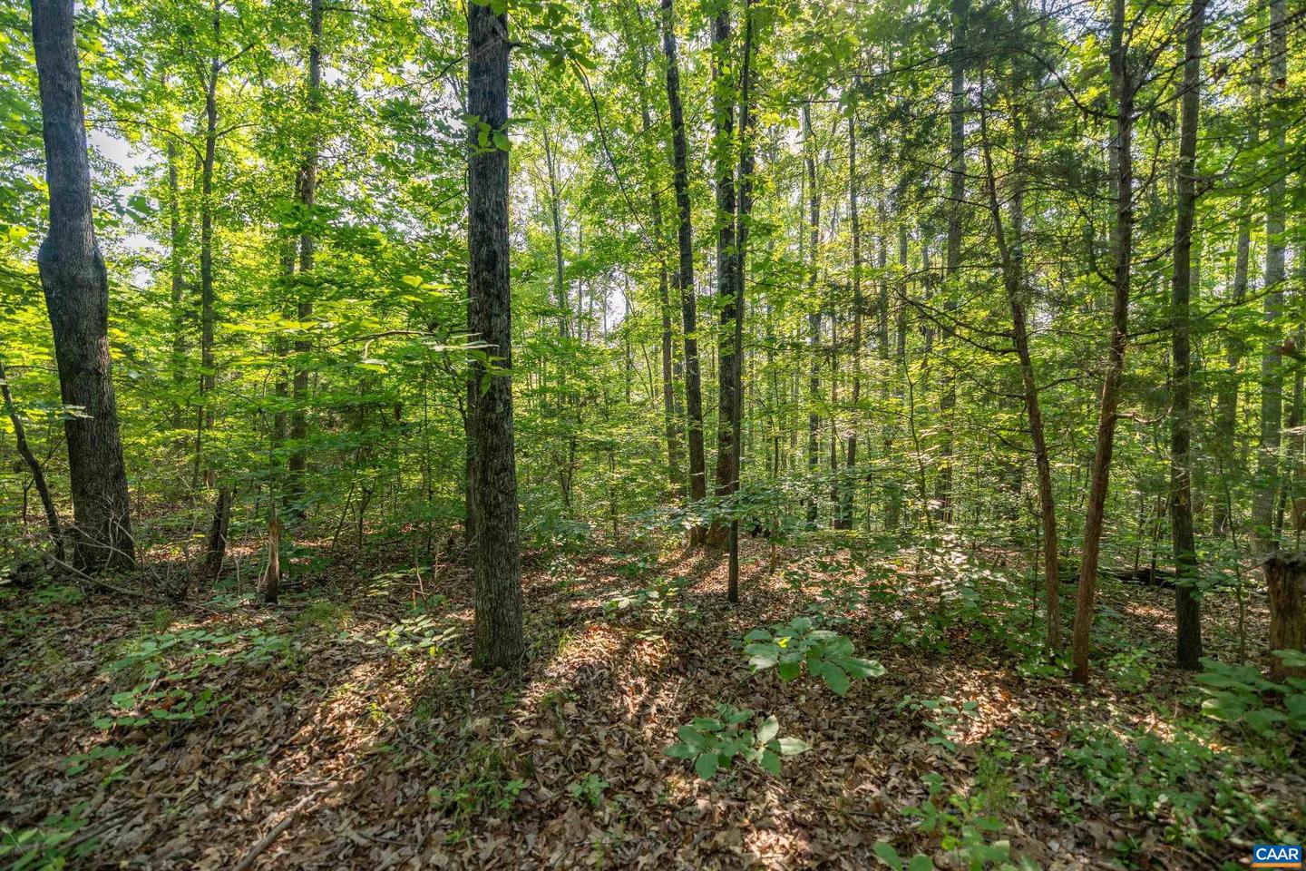 LOT 2 STAG RD, BREMO BLUFF, Virginia 23022, ,Land,For sale,LOT 2 STAG RD,656310 MLS # 656310