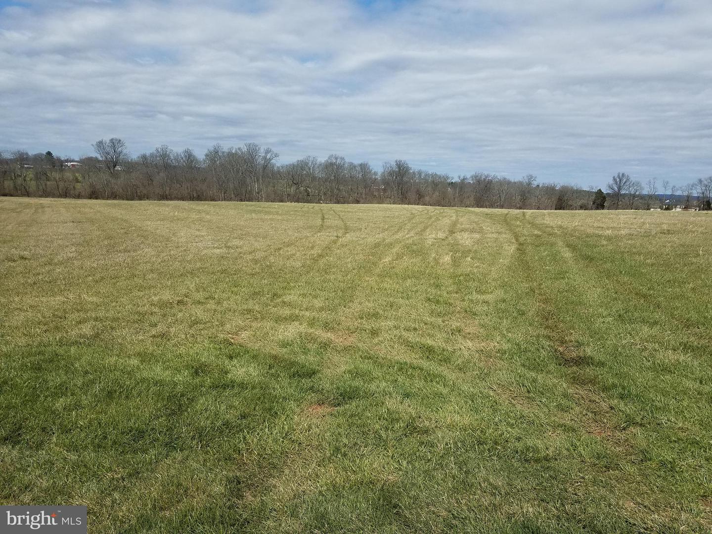 22902 LOT 94 MONTJOY CT, LEESBURG, Virginia 20175, ,Land,For sale,22902 LOT 94 MONTJOY CT,VALO2078876 MLS # VALO2078876