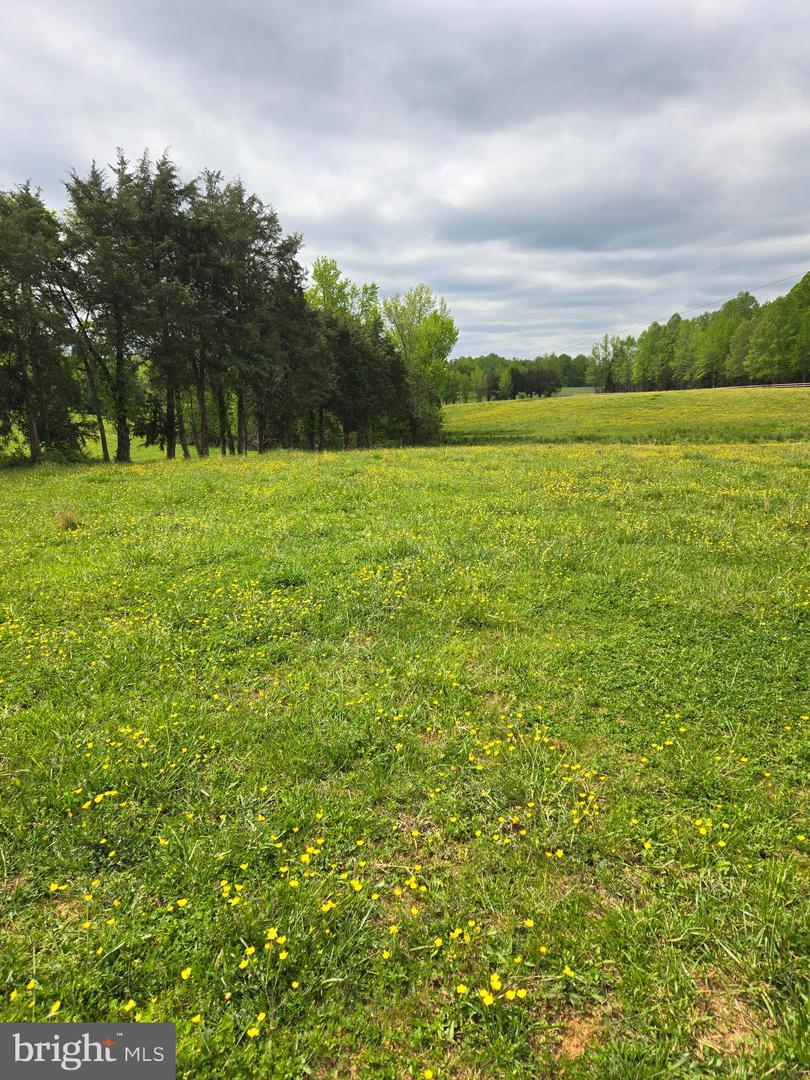 00 PERKINSVILLE RD #LOT 8, MAIDENS, Virginia 23102, ,Land,For sale,00 PERKINSVILLE RD #LOT 8,VAGO2000274 MLS # VAGO2000274